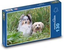 Shetlandský ovčák a Bišonek Puzzle 130 dílků - 28,7 x 20 cm