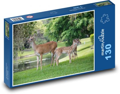 Srnky v parku - puzzle 130 dílků