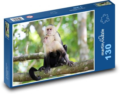 Capuchin Monkey - Puzzle 130 pieces, size 28.7x20 cm 