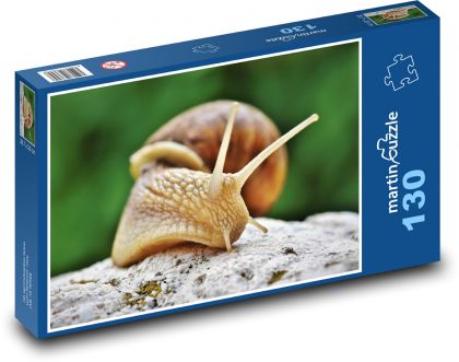 schnecke - Puzzle - 130 Teile