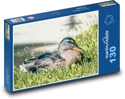 Wild duck - Puzzle 130 pieces, size 28.7x20 cm 