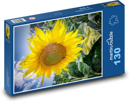 Rozkvetlá slunečnice - puzzle 130 dílků