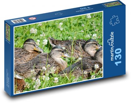 Ducklings in the grass - Puzzle 130 pieces, size 28.7x20 cm 