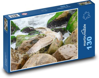 Seagull flying over the coast - Puzzle 130 pieces, size 28.7x20 cm 