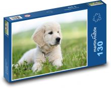 Zlatý retriever - pes Puzzle 130 dílků - 28,7 x 20 cm