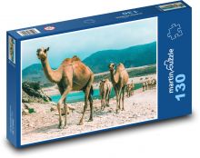 Ťavy - Omán Puzzle 130 dielikov - 28,7 x 20 cm