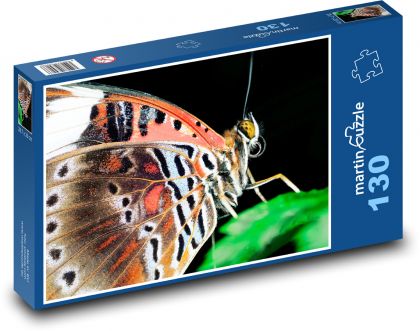 Motýľ so zlatými očami - Puzzle 130 dielikov, rozmer 28,7x20 cm 