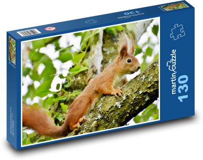 Eichhörnchen - Nagetier - Puzzle - 130 Teile