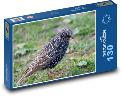 Starling - bird - Puzzle 130 pieces, size 28.7x20 cm 