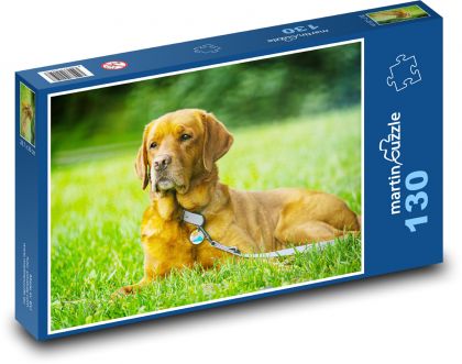 Labrador - pes - Puzzle 130 dielikov, rozmer 28,7x20 cm 