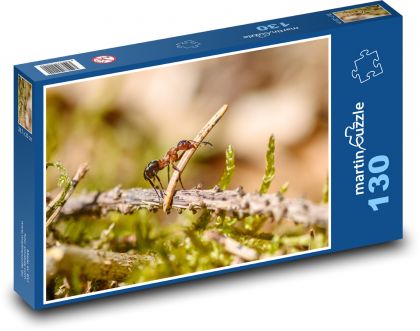 Ant - Beetle - Puzzle 130 pieces, size 28.7x20 cm 