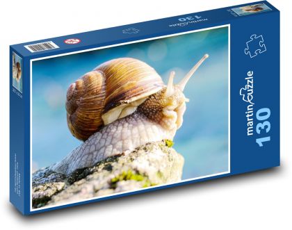 schnecke - Puzzle - 130 Teile