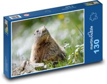 Świstaki Puzzle 130 elementów - 28,7x20 cm