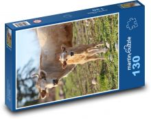Krava a teľa Puzzle 130 dielikov - 28,7 x 20 cm