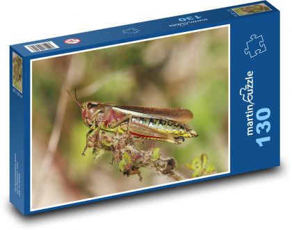 Saranče - puzzle 130 dílků