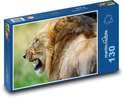 Lion - big cat - Puzzle 130 pieces, size 28.7x20 cm 