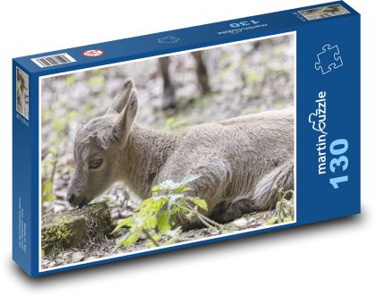 Mládě kozoroha - puzzle 130 dílků