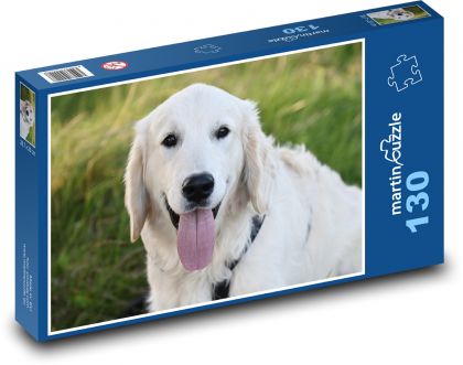 Pes - zlatý retriever - puzzle 130 dílků