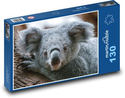 Koala - marsupial - Puzzle 130 pieces, size 28.7x20 cm 