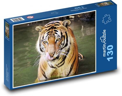 Tygr v řece - puzzle 130 dílků