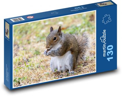 Veverka - hlodavec - puzzle 130 dílků