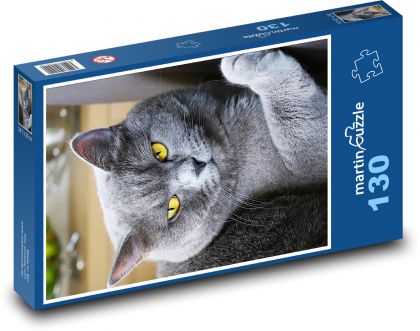 Britisch Kurzhaar Katze - Puzzle - 130 Teile