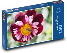 Včela na květině - jiřina Puzzle 130 - 28,7x20 cm