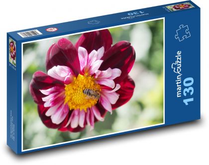 Včela na květině - jiřina - puzzle 130 dílků