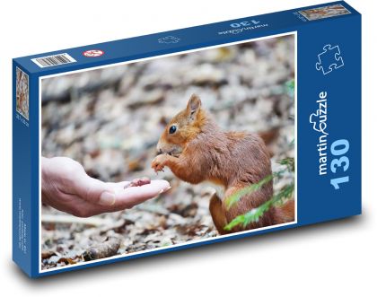 Veverka - hlodavec - puzzle 130 dílků