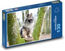 Eurasier - pies Puzzle 130 elementów - 28,7x20 cm