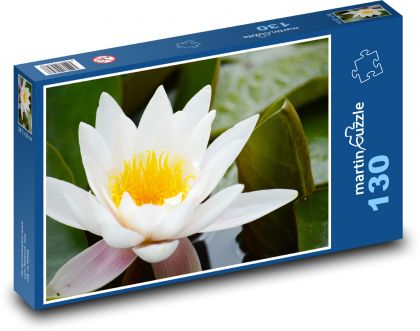 Biela vodná ľalia - kvet - Puzzle 130 dielikov, rozmer 28,7x20 cm 