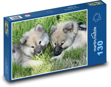 Eurázijskejšie šteniatka - psy - Puzzle 130 dielikov, rozmer 28,7x20 cm 