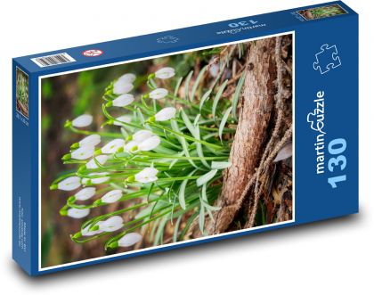 Sněženky - jarní květiny - puzzle 130 dílků