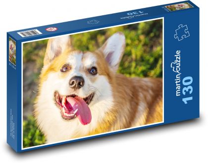 Pes Corgi s vypláznutým jazykem - puzzle 130 dílků