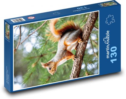 Squirrel - Puzzle 130 pieces, size 28.7x20 cm 
