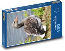 Husa - pták Puzzle 130 - 28,7x20 cm