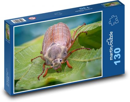 Brouk - hmyz - puzzle 130 dílků