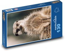 Surykatka Puzzle 130 elementów - 28,7x20 cm