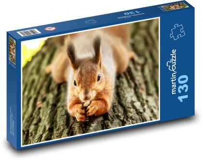 Squirrel on a tree - Puzzle 130 pieces, size 28.7x20 cm 