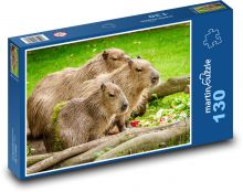 Kapybara Puzzle 130 dielikov - 28,7 x 20 cm