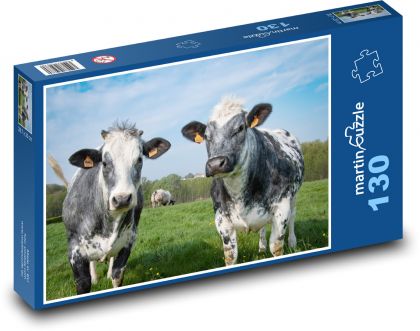 Krávy na pastvě - puzzle 130 dílků