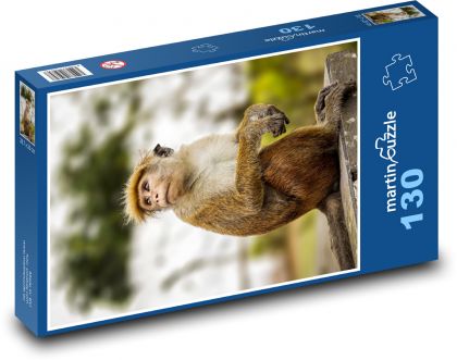 Opica - makak - Puzzle 130 dielikov, rozmer 28,7x20 cm 