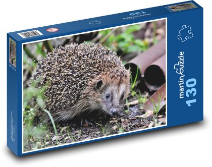 Hedgehog in nature - Puzzle 130 pieces, size 28.7x20 cm 