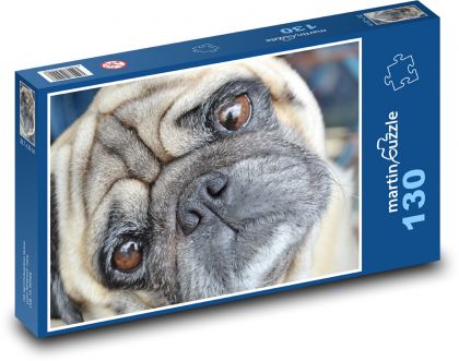 Mops - pes - puzzle 130 dílků
