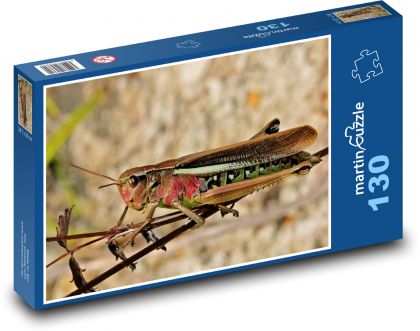 Kobylky - hmyz - Puzzle 130 dielikov, rozmer 28,7x20 cm 