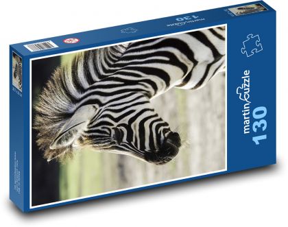 Zebra - Puzzle 130 dielikov, rozmer 28,7x20 cm 