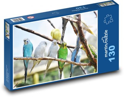 Papoušci - ptactvo - puzzle 130 dílků