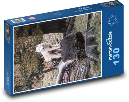 Biały wilk - Puzzle 130 elementów, rozmiar 28,7x20 cm