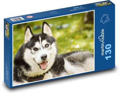 Husky - Hund - Puzzle - 130 Teile