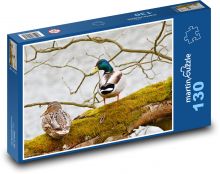 Kachny divoké  Puzzle 130 - 28,7x20 cm